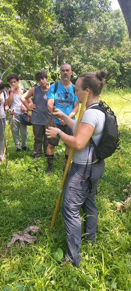 Vivência na Mata Atlântica Trilha Cabuçu - Santos SP