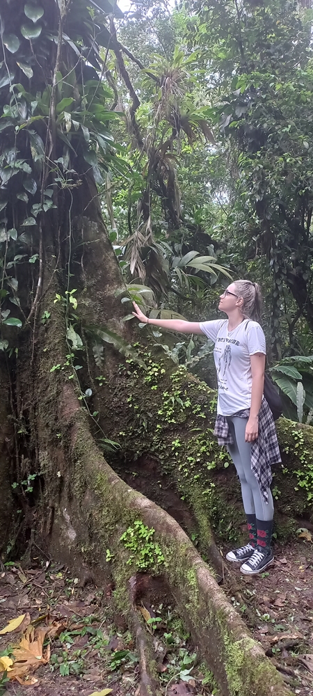 Vivência na Mata Atlântica Trilha Cabuçu - Santos SP