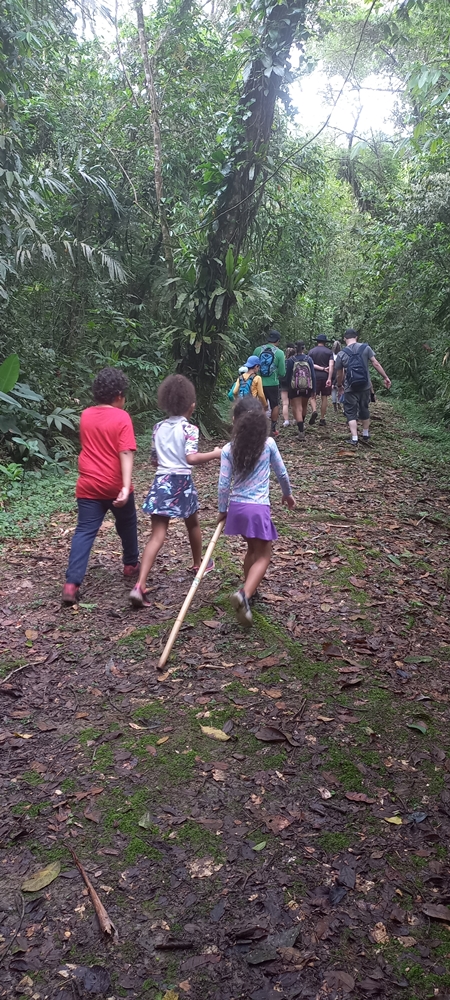 Vivência na Mata Atlântica Trilha Cabuçu - Santos SP