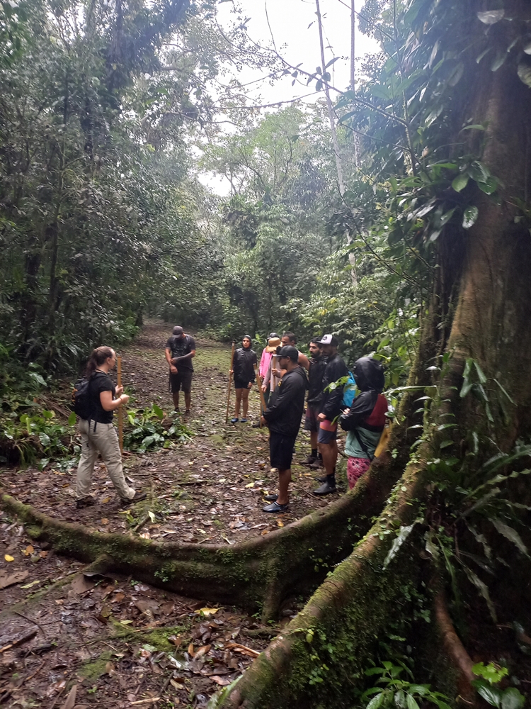 Vivência na Mata Atlântica Trilha Cabuçu - Santos SP